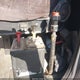1XP5DB9X9HN212155 1987 Peterbilt 379 auction photo thumbnail 14