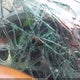 5GAKVCED4CJ329100 2012 Buick Enclave Leather auction photo thumbnail 7