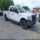 1FTFW1EF7DKE46491 2013 Ford F-150 Xl auction photo thumbnail 1
