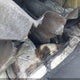 3N1AB6AP5CL781900 2012 Nissan Sentra 2.0 auction photo thumbnail 13