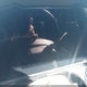 KL77LJE28RC226091 2024 Chevrolet Trax Fwd 2Rs auction photo thumbnail 15