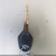 MH3RH18Y3PK013387 2023 Yamaha Yzfr3 A auction photo thumbnail 11