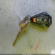 3N1CN7AP5GL846580 2016 Nissan Versa 1.6 Sv auction photo thumbnail 11