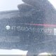 4T1DAACK9SU033877 2025 Toyota Camry Le auction photo thumbnail 9