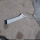 3GNAXVEX3LS733926 2020 Chevrolet Equinox Awd Lt 2.0L Turbo auction photo thumbnail 12