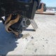 ML5EREN16RDAC6112 2024 Kawasaki Er650 N auction photo thumbnail 15