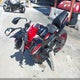 ML5EREN16RDAC6112 2024 Kawasaki Er650 N auction photo thumbnail 2