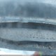 1GTDR14H5HJ506202 1987 GMC R15 Conventional R1500 auction photo thumbnail 9
