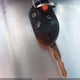 3FAHP0JA5CR319538 2012 Ford Fusion Sel auction photo thumbnail 11