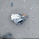 2T3W1RFV9MW116054 2021 Toyota Rav4 Xle auction photo thumbnail 12