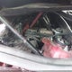 4T1B11HK8KU172138 2019 Toyota Camry Se auction photo thumbnail 10