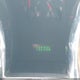 1ZVFT82H365250974 2006 Ford Mustang Gt auction photo thumbnail 15