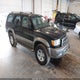 JT3HN87R1X0195855 1999 Toyota 4Runner Limited V6 auction photo thumbnail 1