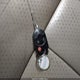 2LMDU68C38BJ22658 2008 Lincoln Mkx auction photo thumbnail 11