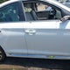 5NPE34AF6HH503084 2017 Hyundai Sonata Sport auction photo thumbnail 12