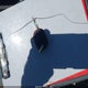 2FMDK48C58BA23653 2008 Ford Edge Sel auction photo thumbnail 11