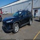 2T3MWRFV5KW036384 2019 Toyota Rav4 Hybrid Le auction photo thumbnail 2