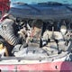 1B7KF236XXJ595396 1999 Dodge Ram 2500 St auction photo thumbnail 10