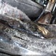 5GAEVAKW2LJ131218 2020 Buick Enclave Awd Essence auction photo thumbnail 9