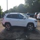 1C4PJMDX3KD423242 2019 Jeep Cherokee Limited 4X4 auction photo thumbnail 13