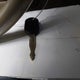 1FTPW125X4KC86168 2004 Ford F-150 Lariat/Xlt auction photo thumbnail 11