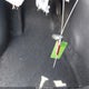 3N1CP5CV7ML524397 2021 Nissan Kicks Sv Xtronic Cvt auction photo thumbnail 11