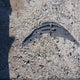 4T1BF1FK9FU064489 2015 Toyota Camry Se auction photo thumbnail 12