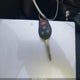 3N1CN7AP0HL872067 2017 Nissan Versa 1.6 Sv auction photo thumbnail 11