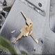 1X27D8T248592 1978 Chev Nova auction photo thumbnail 11