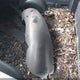 1FTZF1724WKC27627 1998 Ford F-150 Standard/Xl/Xlt auction photo thumbnail 12