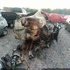 JN1CV6AP1CM623849 2012 Infiniti G37 Journey auction photo thumbnail 4