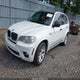 5UXZV4C52D0E09762 2013 BMW X5 xDrive35I/xDrive35I Premium/xDrive35I Sport Activity auction photo thumbnail 2
