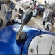 WB10A1209EZ095206 2014 BMW R1200 Gs Adventure auction photo thumbnail 11