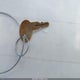 1UJBJ0AJ8M77B0270 2021 Jayco Jay Flight auction photo thumbnail 11