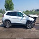 1C4PJMLN8KD167776 2019 Jeep Cherokee Latitude Plus 4X4 auction photo thumbnail 13