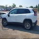 1C4PJMLN8KD167776 2019 Jeep Cherokee Latitude Plus 4X4 auction photo thumbnail 14