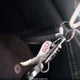 3FMCR9G63RRE61414 2024 Ford Bronco Sport Heritage auction photo thumbnail 11
