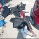 3GNAXMEG3RS227337 2024 Chevrolet Equinox Fwd Rs auction photo thumbnail 12