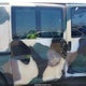 1GCSGAFX6C1181649 2012 Chevrolet Express 1500 Work Van auction photo thumbnail 17