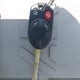 1FMCU9GX9DUA71085 2013 Ford Escape Se auction photo thumbnail 11