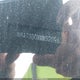 JN8AT3DDXMW320962 2021 Nissan Rogue Platinum Intelligent Awd auction photo thumbnail 9