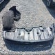 5TDHZRBH6LS500424 2020 Toyota Highlander Xle auction photo thumbnail 12