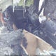 1FAHP2E82GG118521 2016 Ford Taurus Sel auction photo thumbnail 8
