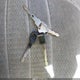 2G4WS52J911144042 2001 Buick Century Custom auction photo thumbnail 11