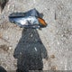 4T1G31AK7RU076084 2024 Toyota Camry Hybrid Se Nightshade auction photo thumbnail 12