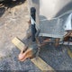 53BCTEA25HA033990 2016 Lgs Enclosed Trailer auction photo thumbnail 7