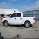 1FTEW1C86AFC36758 2010 Ford F-150 Fx2 Sport/Xl/Xlt auction photo thumbnail 14