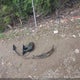 1FMNU41L03EC79494 2003 Ford Excursion Xlt auction photo thumbnail 12
