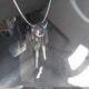 1FADP3F25EL398194 2014 Ford Focus Se auction photo thumbnail 11