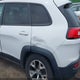 1C4PJMBS5EW161434 2014 Jeep Cherokee Trailhawk auction photo thumbnail 17